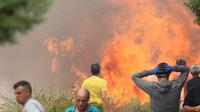 Penyebab kebakaran hutan Spanyol yang menghanguskan sekitar 4.000 hektar lahan diduga karena percikan api dari mesin yang digunakan untuk mengumpulkan semak belukar (AP)