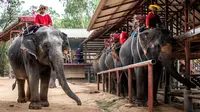 Thailand dan Kamboja Setuju Gencatan Senjata, Thailand Ngotot Destinasi Wisatanya Aman Dikunjungi Turis