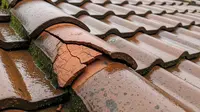 9 Tips Menambal Genteng Retak Agar Tidak Bocor Lagi Saat Hujan, Solusi Praktis untuk Atap Rumah