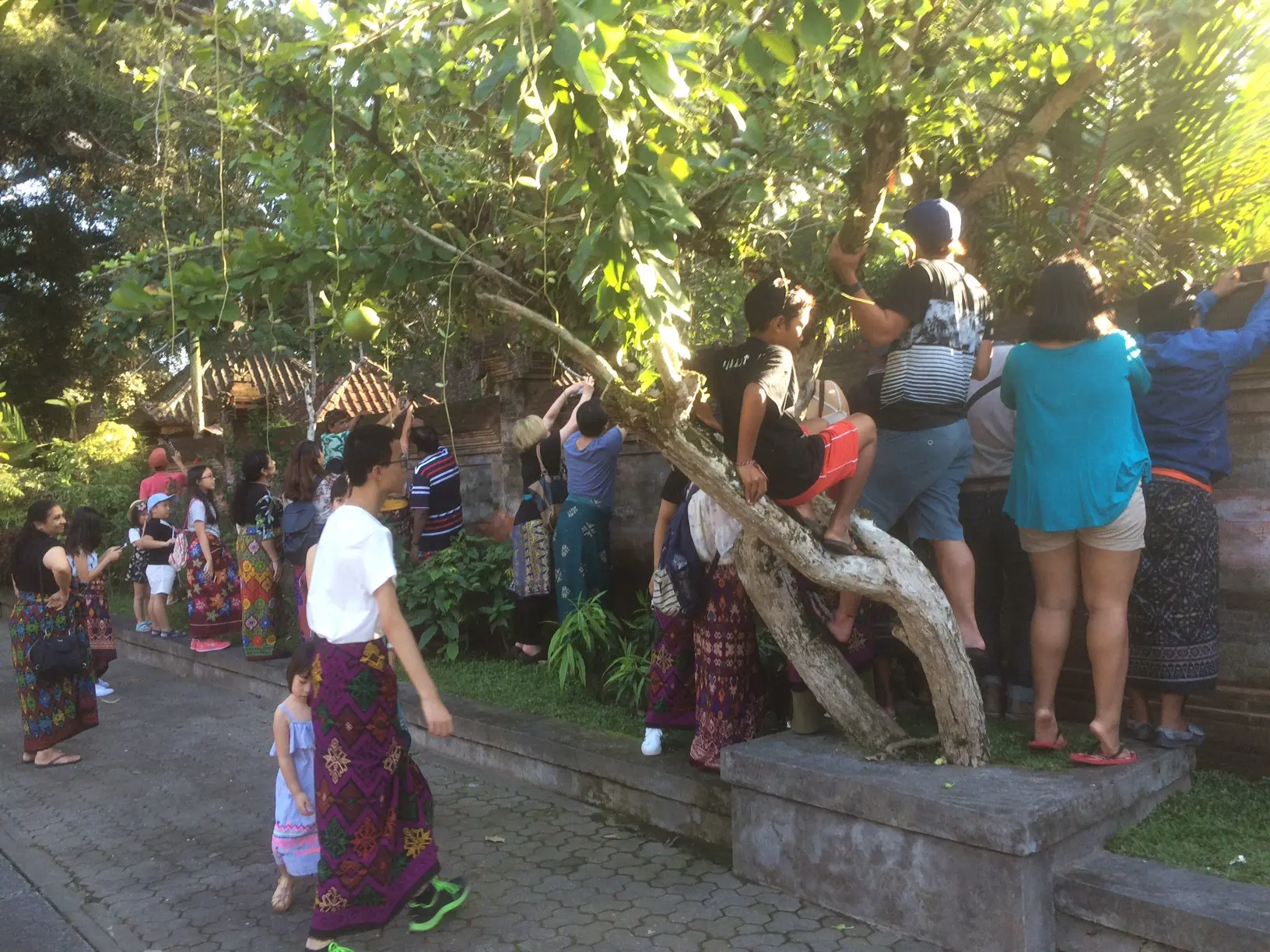 Aksi pengunjung saat berusaha memfoto kunjungan Barack Obama dan keluarga ke Pura Tirta Empul, Bali (27/6/2017) (Andreas Gerry Tuwo/Liputan6.com)