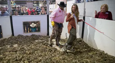 Miss Texas Margana Wood didampingi pawang ular berada di dalam kandang penuh ular derik saat acara Swingter Rattlesnake Sweetwater di Nolan County Coliseum (10/3). Dalam acara ini ribuan ular derik berbisa dikumpulkan di sebuah kandang. (AFP/Loren Elliot)