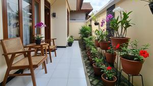 7 Tanaman Bunga Kecil untuk Teras yang Tahan Panas