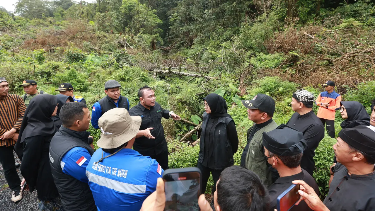 Bupati Banyuwangi Ipuk Fiestiandani temukan bekas tebangan kayu di kawasan lereng Gunung Ijen (Istimewa)