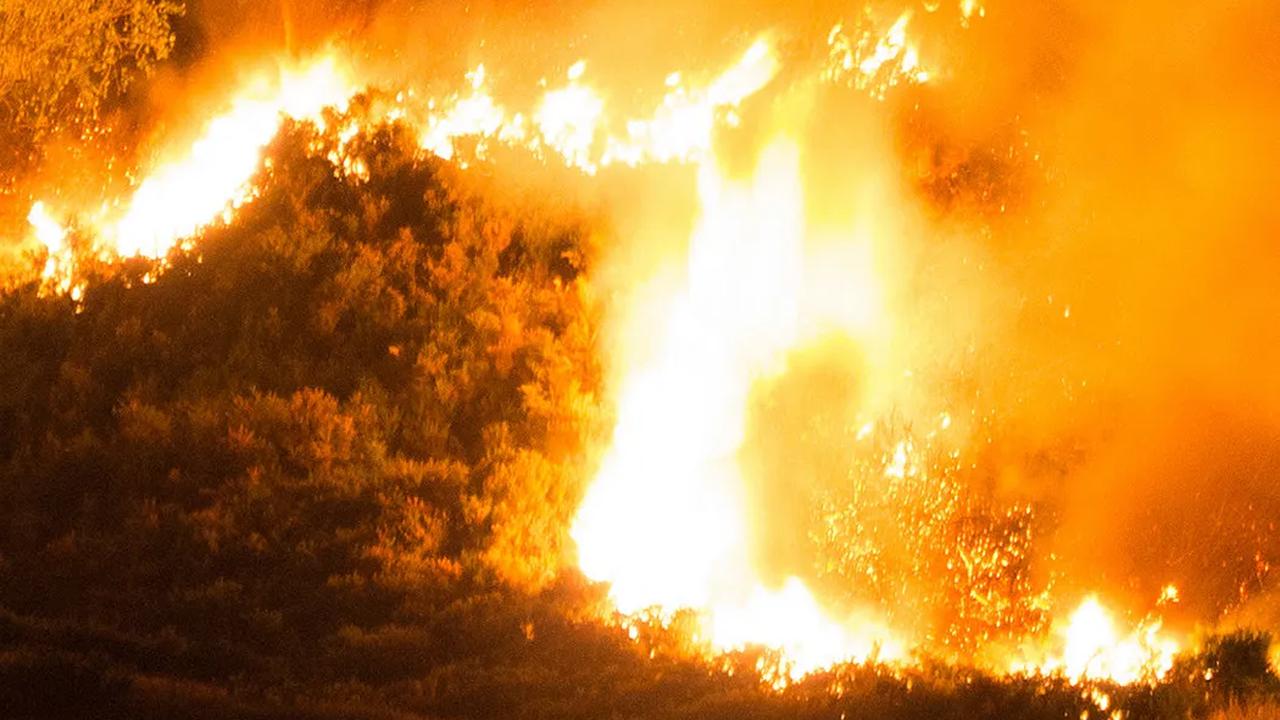 Ingin Lepaskan Kail Pancing yang Tersangkut Ranting, Pria Klaten Ini Nyalakan Api hingga Sebabkan 5 Hektare Hutan Terbakar