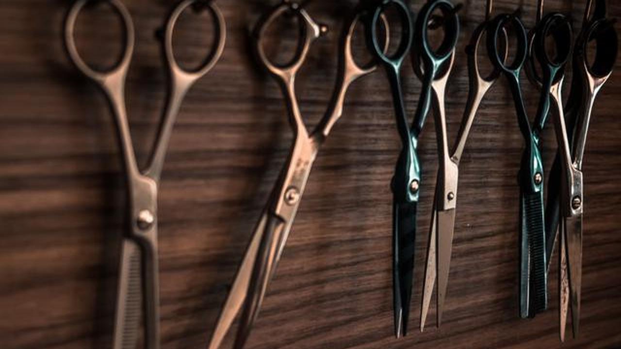 Tips Merawat Ekor Kuda Tanaman Hias agar Tumbuh Subur di Rumah