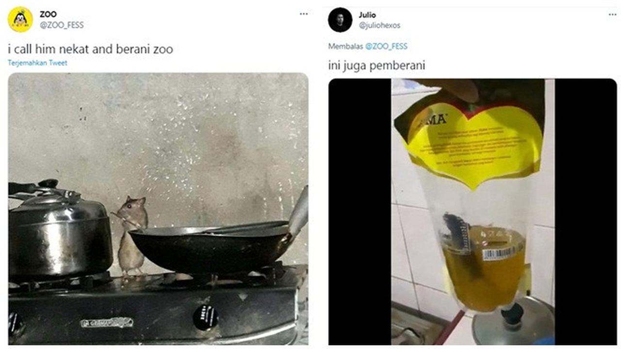 7 Tingkah Laku Tikus saat Tertangkap Kamera Ini Bikin Geleng Kepala