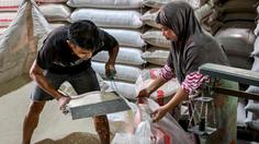 Harga Pangan Hari Ini: Beras Terkendali, Minyakita Belum Turun