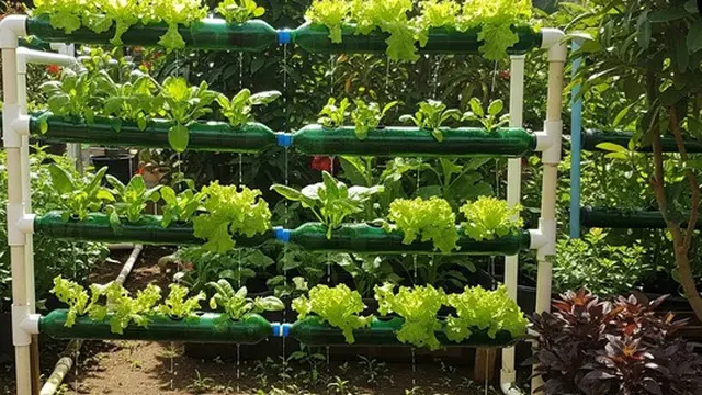 Cara Membuat Menara Hidroponik dari Botol Bekas dan Pipa PVC (AI Generated)