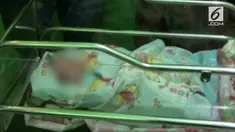 Bayi di Polewali Mandar ditemukan dalam karung dan dikerubungi oleh semut. Sang bayi ditemukan oleh petani yang akan berangkat ke ladang.