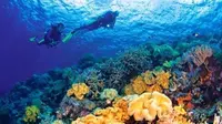 Liburan Akhir Tahun, Garuda Indonesia Buka Rute Kendari-Wakatobi