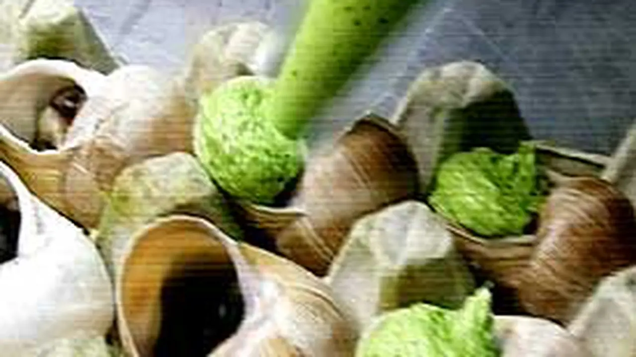 080608cbekicot.jpg
