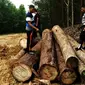 Aparat Polda Riau membongkar illegal logging atau pembalakan liar di kawasan hutan lindung Rimbang Baling, Kabupaten Kuantan Singingi. (Liputan6.com/M Syukur)