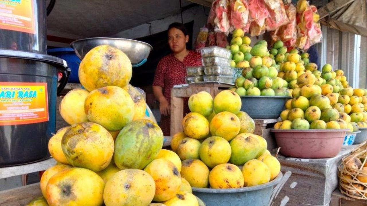 Pemkab Sumedang Genjot Pengembangan Hortikultura Mangga dan Cabai Melalui Program HDDAP