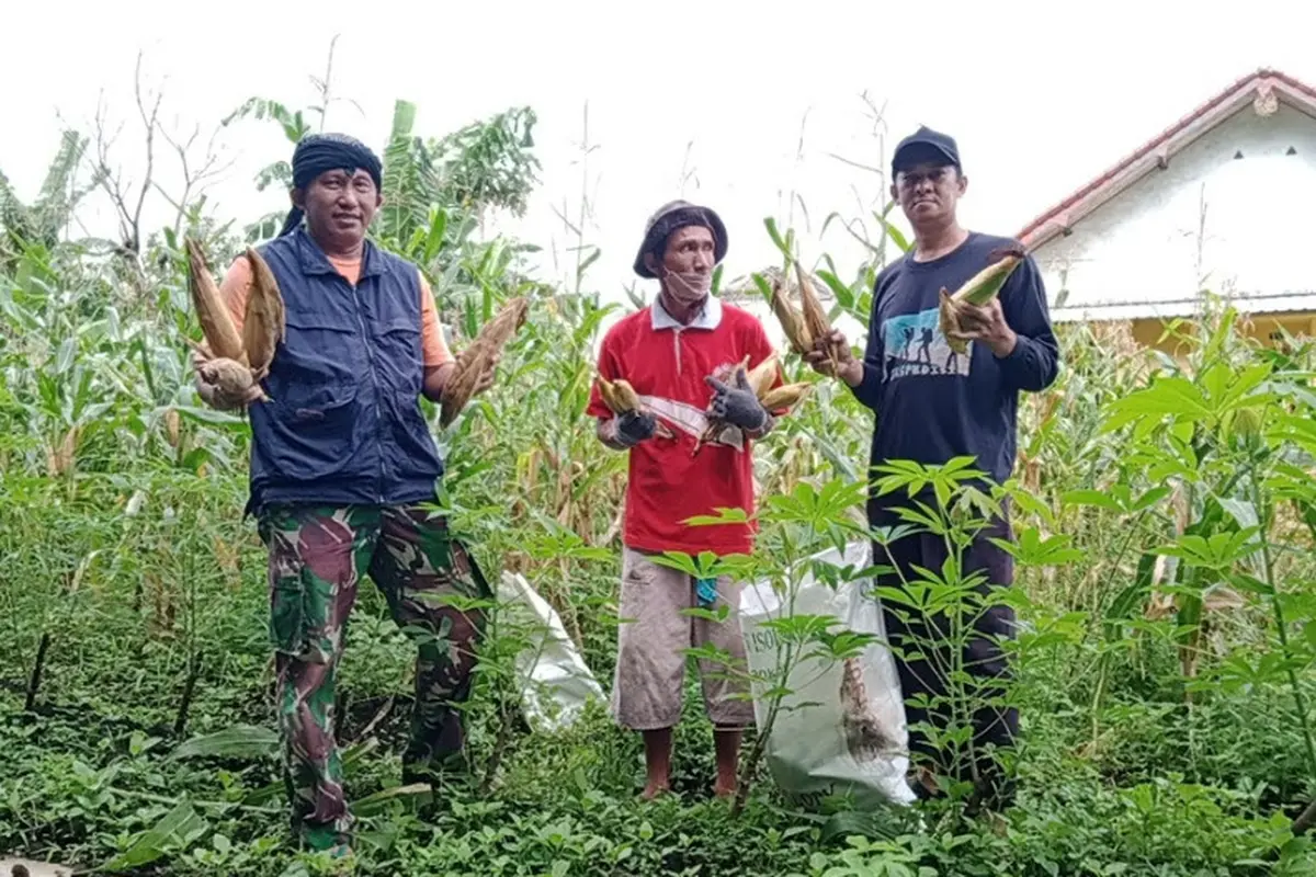 Difabel Bertani, Kegiatan di Malang yang Ajak Penyandang Disabilitas Geluti Dunia Pertanian