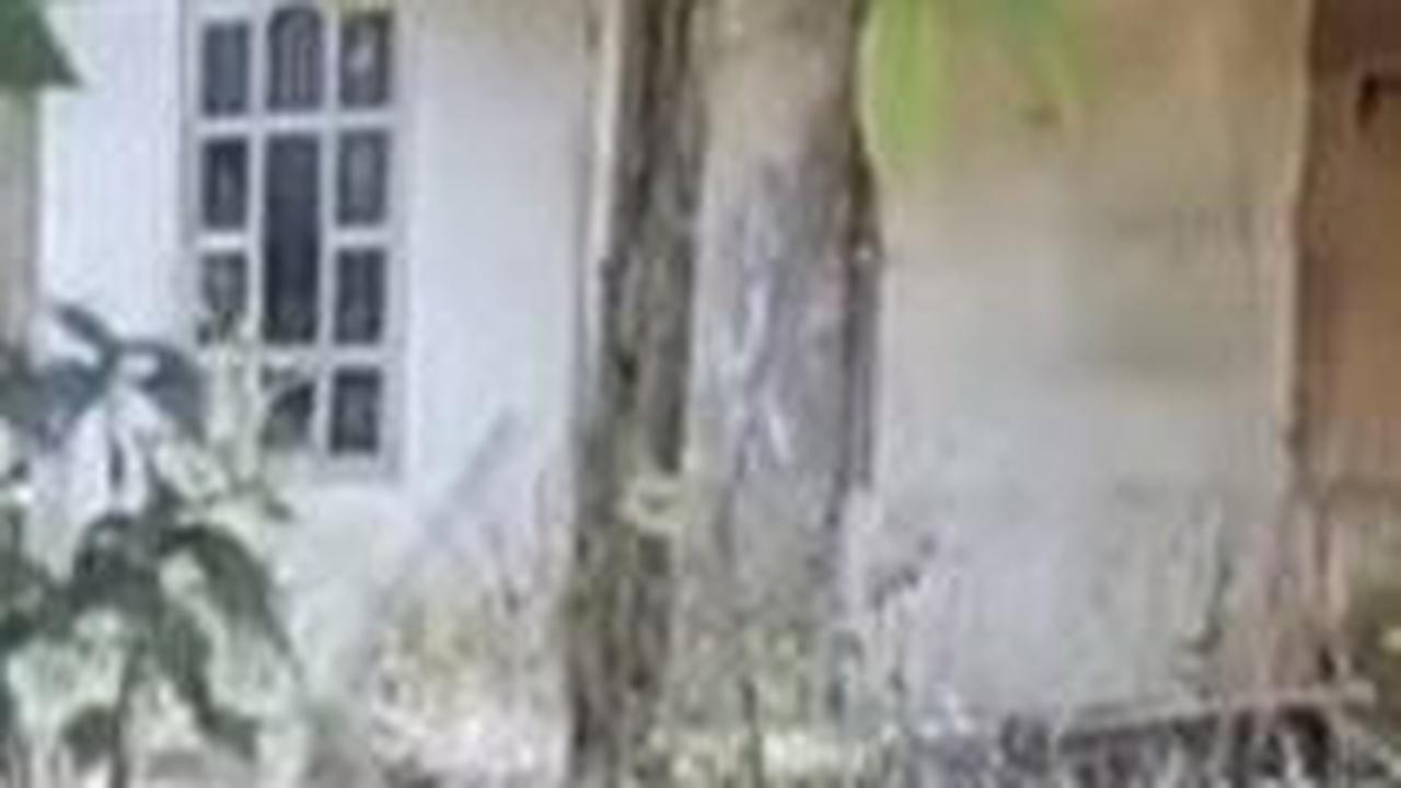 Panji si Petualan
