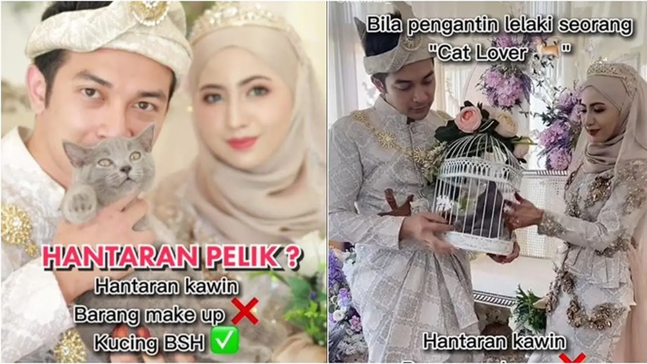 Pengantin Pria Ini Jadikan Kucing British Shorthair untuk Seserahan Pernikahannya