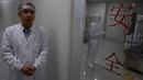 Seseorang bekerja di balik pintu kaca bertulisankan "Keamanan" di pabrik vaksin SinoVac di Beijing, Kamis (24/9/2020). Perusahaan farmasi China, Sinovac mengatakan vaksin virus corona yang dikembangkannya akan siap didistribusikan ke seluruh dunia, termasuk AS, pada awal 2021. (AP Photo/Ng Han Guan)
