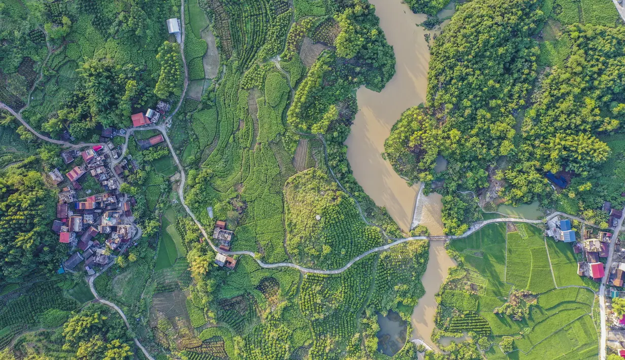 Foto dari udara menunjukkan pemandangan ladang di Desa Chonglou, Wilayah Otonom Etnis Maonan Huanjiang, Daerah Otonom Etnis Zhuang, Guangxi, China, 25 Mei 2020. Ada puluhan suku minoritas yang diakui oleh China bermukim di daerah ini. (Xinhua/Cao Yiming)