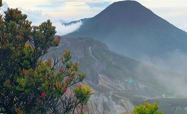 Gunung Gede Pangrango menawarkan panorama cantik bagi para pendaki yang suka kegiatan di alam. (Dok: Instagram @bbtn_gn_gedepangrango)