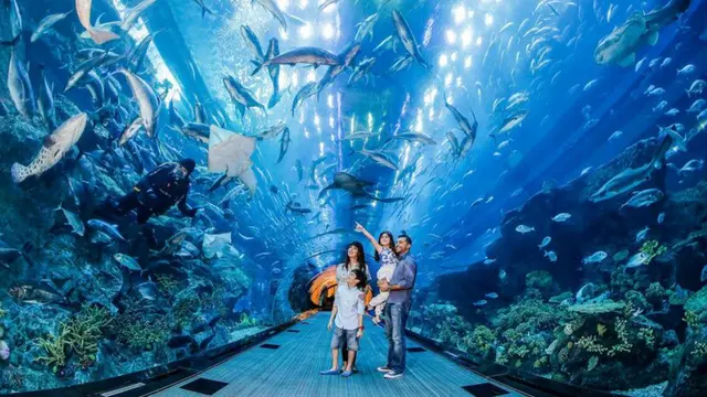 LEGOLAND® Water Park dan Dubai Aquarium