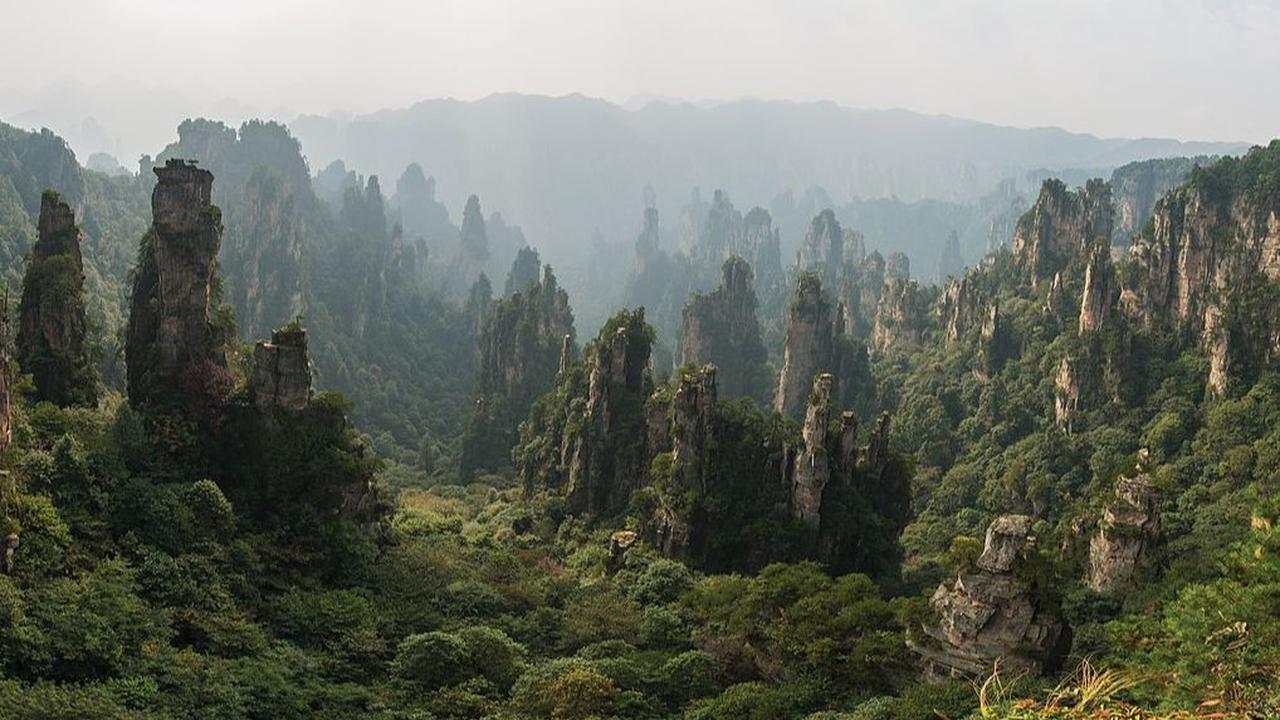 1. Kondisi Lingkungan yang Memengaruhi Distribusi Genus Calotes<br>