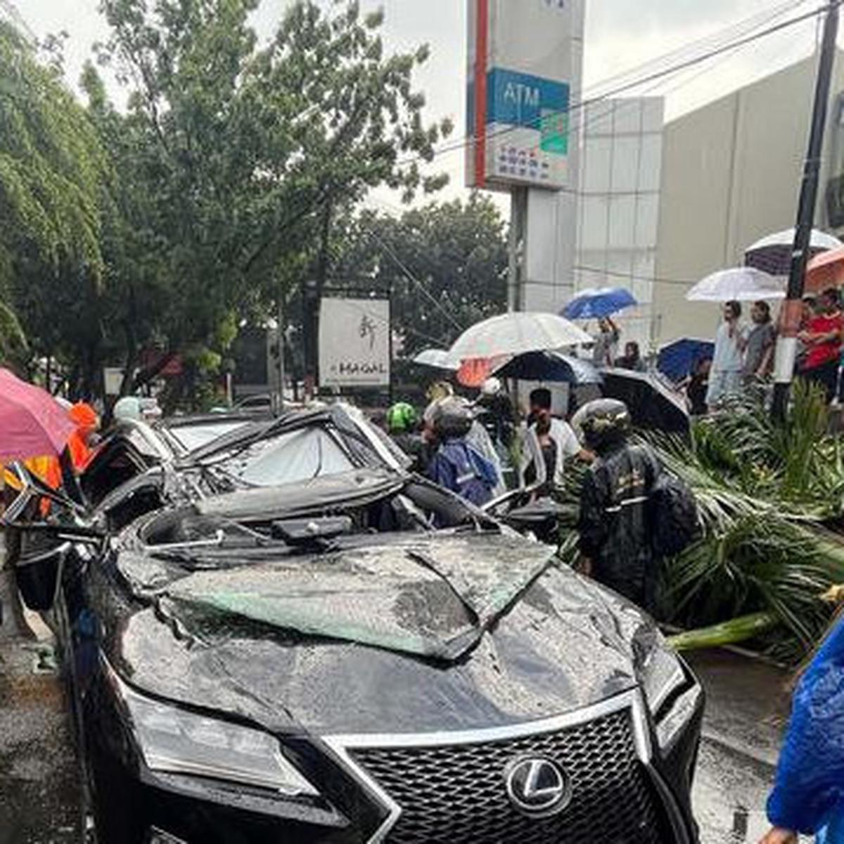Akibat Hujan Lebat dan Angin Kencang: Pengendara Mobil Lexus Tewas Tertimpa Pohon di Pondok Indah
