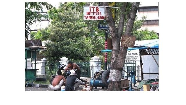 6 Pengumuman Nyeleneh Ini Ditempel di Pohon, Bikin Geleng Kepala