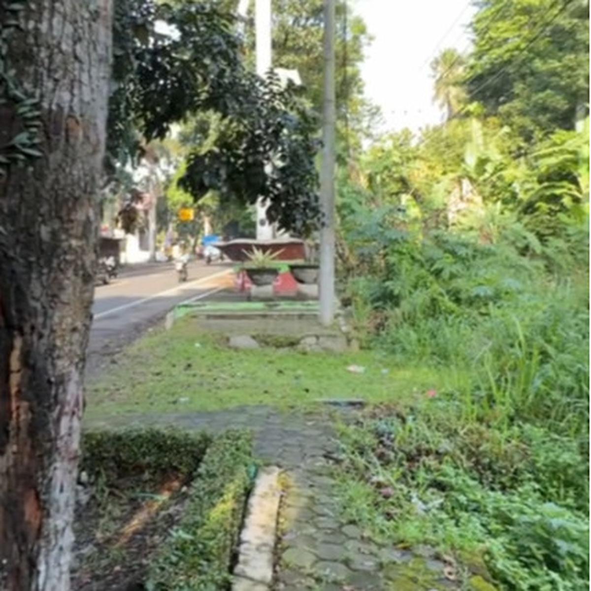 Pria Ini Temukan Rumah Terbengkalai di Tepi Jalanan, Penampakannya Bikin Ngeri