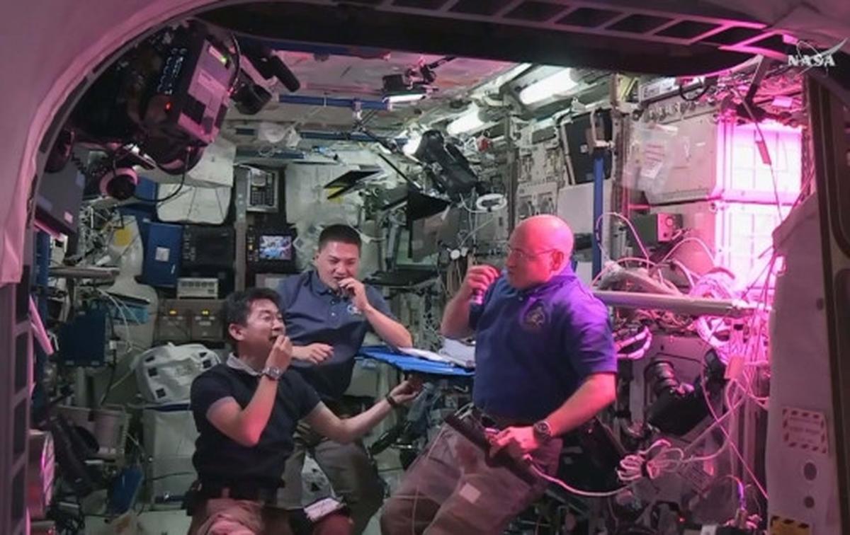Mengintip astronot makan sayuran hasil tanam di luar angkasa