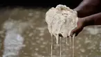 Gambar pada 9 Februari 2020 menunjukkan pekerja menunjukan tepung sagu basah saat proses pengolahan di sebuah desa di Meulaboh, provinsi Aceh. Tepung sagu adalah jenis tepung yang berasal dari pohon rumbia atau pohon aren, dan pohon jenis ini banyak ditemukan bagian timur. (CHAIDEER MAHYUDDIN/AFP)