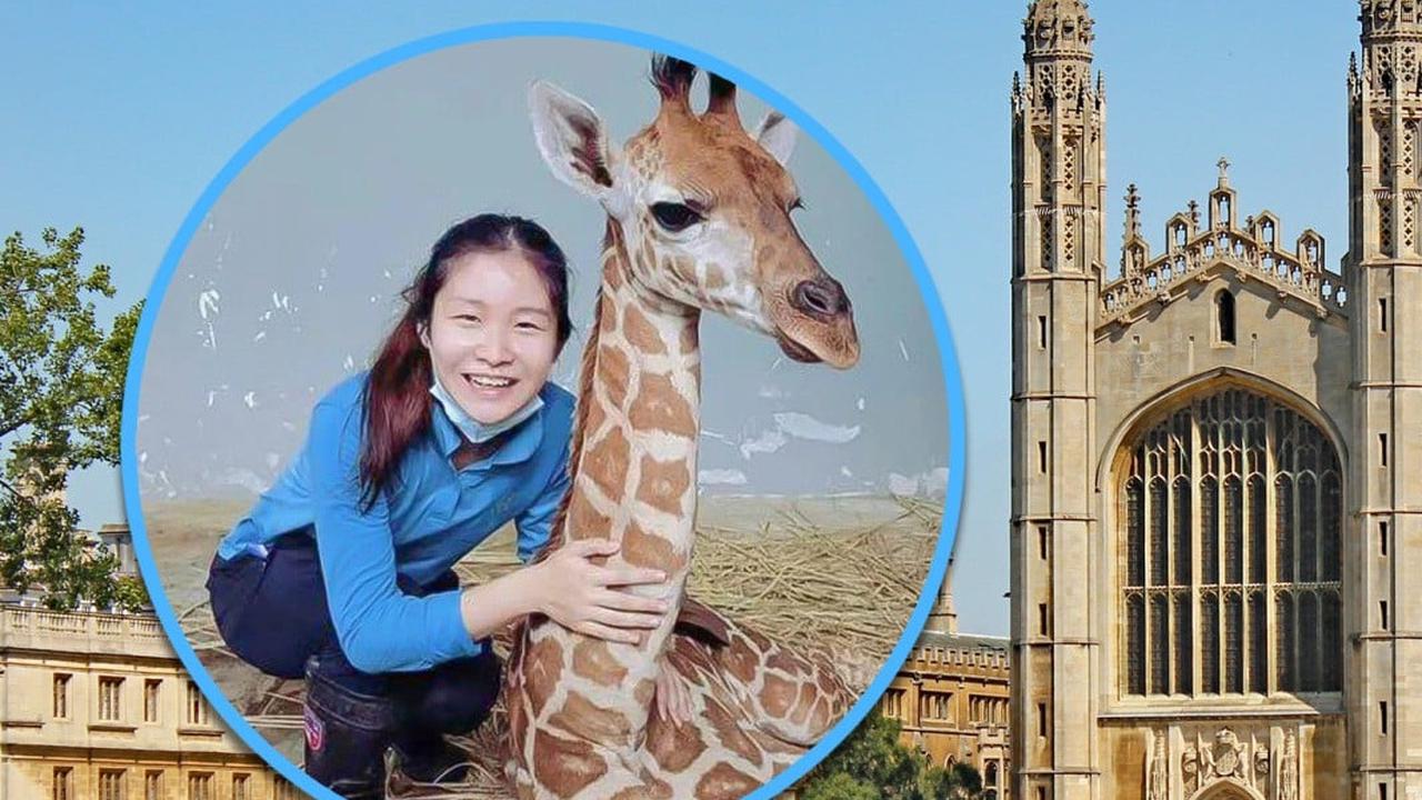 Lulusan Cambridge University Ini Pilih Bekerja Sebagai Penjaga Kebun Binatang, Alasannya Bikin Haru