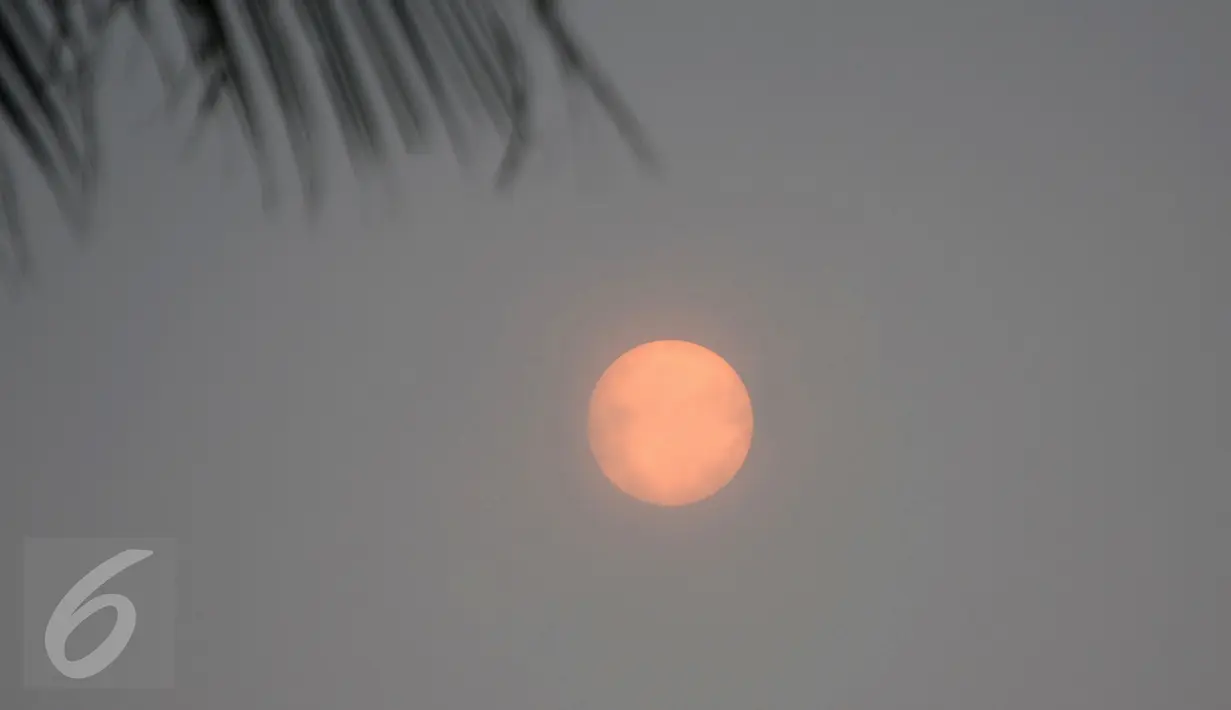 Pemandangan matahari saat kabut asap menyelimuti Narathiwat, Thailand, Senin (5/10/2015). Kabut asap dari kebakaran hutan di Indonesia kini menyelimuti provinsi di wilayah selatan Thailand. (AFP PHOTO/Madaree TOHLALA)