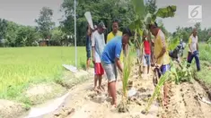Warga ini menanam pohon pisang di sepanjang jalan yang sudah hancur sejak tiga tahun terakhir, yang tidak ada perbaikan sama sekali.