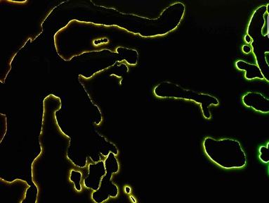 Foto udara memperlihatkan warna warni lampu Danau Archipelago di Taman Mini Indonesia Indah (TMII), Jakarta, Sabtu (31/12/2022). TMII menjadi salah satu lokasi acara puncak perayaan pergantian tahun di DKI Jakarta. (Liputan6.com/Herman Zakharia)