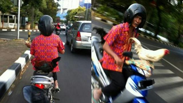 Potret Lucu Saat Hewan Dibonceng Pakai Motor Ini Bikin Ketawa, Anteng Bange