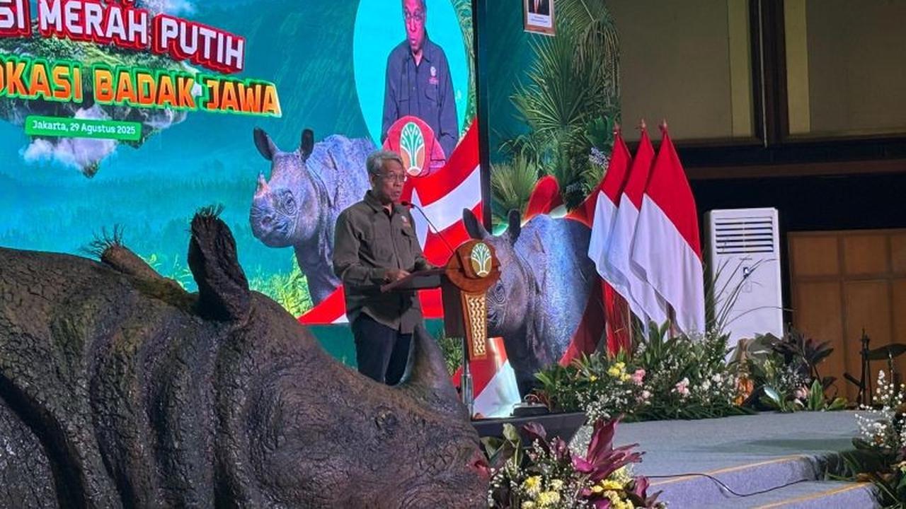 Fakta Unik Badak Jawa: Upaya Pemerintah Selamatkan Populasi Hewan Terancam Punah dengan Translokasi