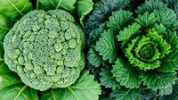Dokter Zaidul Akbar Sebut Brokoli sebagai Cruciferous Vegetables, Apa Itu? Foto dibuat oleh AI.