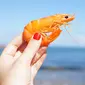 Ilustrasi udang/copyright unsplash.com/@ohforkyes