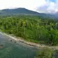 Gunung Honje di Banten. (Dok: IG @boimbaelah&nbsp;https://www.instagram.com/p/BAeSPUVM3Vj/?igsh=ZGprOGR4andmaWc1)