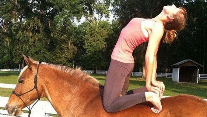 copyright by instagram.com/horse_yoga_girl