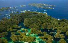 5 Bukti Keindahan Raja Ampat yang Memukau dan Menakjubkan, Bak Surga Dunia