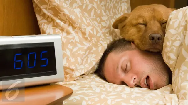 Tidur Nyenyak Tidur Pulas