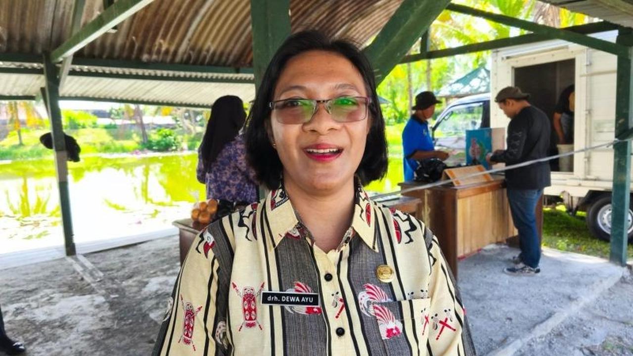 Dinas Peternakan Nabire Gencarkan Pemulihan Populasi Babi Pasca Wabah ASF