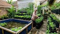 9 Ide Kolam Ikan dan Kebun Sayur dalam Satu Area Sempit, Ciptakan Halaman Produktif
