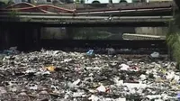 Ratusan kubik sampah ini menumpuk di sungai Citepus, Desa Cangkuang Wetan, Dayeuhkolot, Kabupaten Bandung. Sampah-sampah tersebut tersebut berasal dari kota Bandung akibat terbawa banjir.