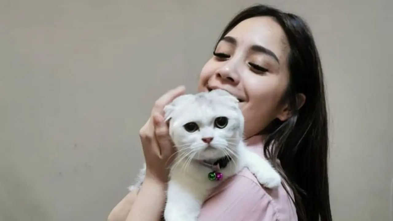 Nagita Slavina Punya Kucing Baru dari Rusia dan Ukraina, Berapa Harganya?