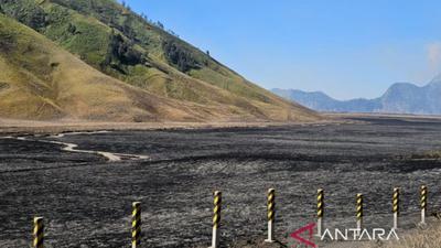 Menteri Kehutanan Raja Juli Antoni Desak Sanksi Tegas bagi Pelaku Kebakaran Gunung Bromo