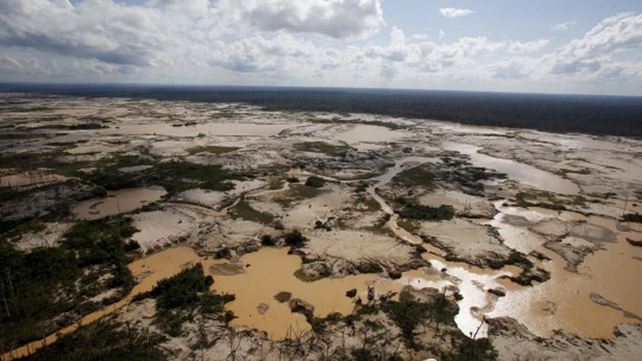 Begini kondisi hancur Hutan Amazon yang digerogoti tambang liar