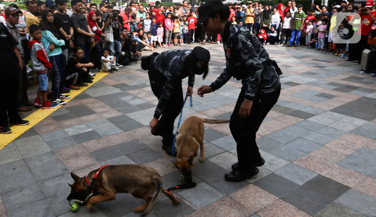 Detasemen pelacak kriminal umum dari unit K-9 Mabes Polri melakukan simulasi proteksi di tengah kegiatan car free day di kawasan Bundaran HI, Jakarta, Minggu (26/1/2020). Acara tersebut digelar untuk mensosialisasikan tugas unit K9 kepada masyarakat. (Liputan6.com/Johan Tallo)