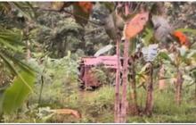 Viral Satu Keluarga Tinggal di Gubuk Tak Layak Huni di Tengah Hutan, Bikin Pilu
